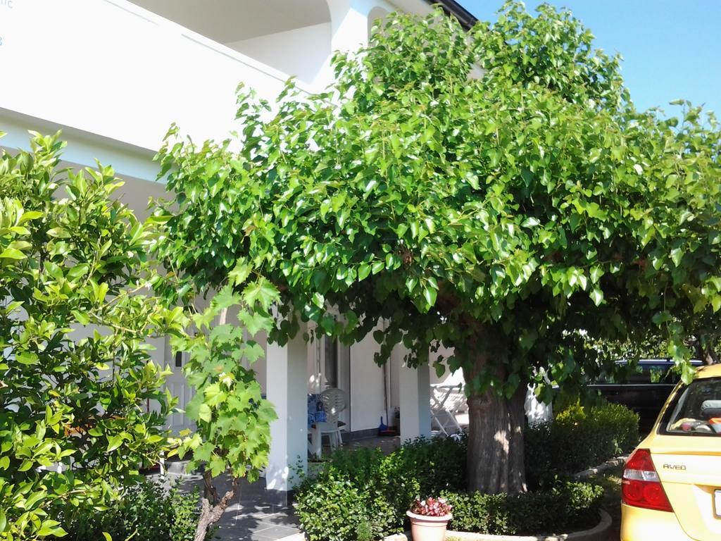 Holiday S&M Lopar Exterior foto